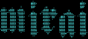 F5 Networks warns of  Reaper Botnet  software