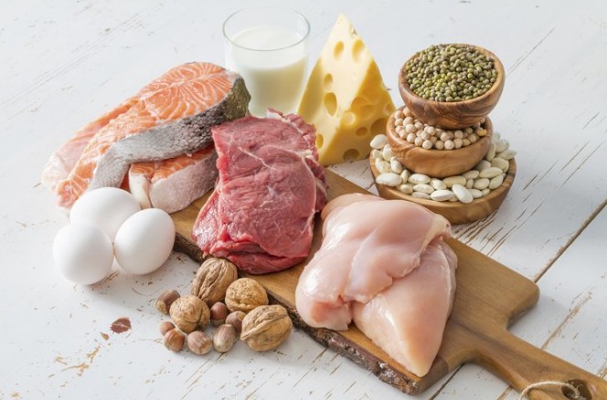 12 Questions and Answers About Protein You Should Know Them
