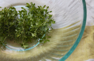 Benefits of Thyme tea 23 benefit to healthy body